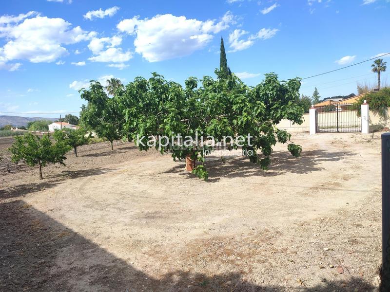 Foto 9a6bd38c-2dc5-496f-84f8-32c6809f5770. Rural plot in El Llombo Ontinyent