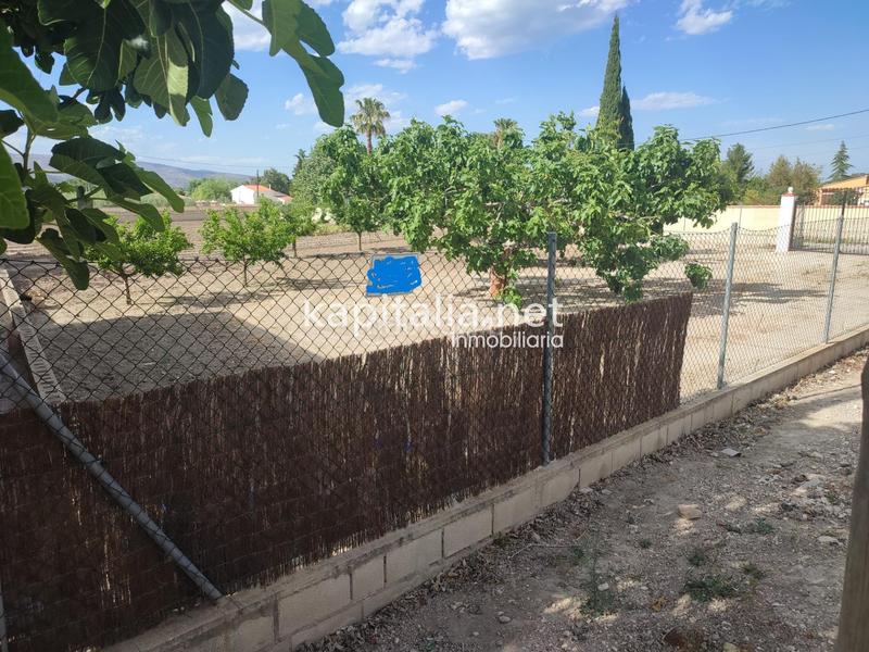 Foto b80ac6ea-171b-4f29-a5a3-cc3466db4cc9. Rural plot in El Llombo Ontinyent
