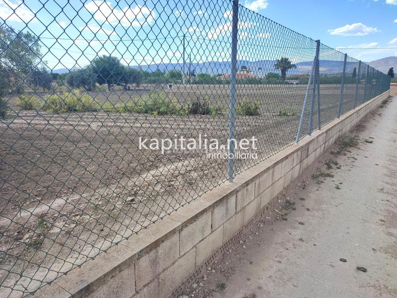 Foto cc408999-30f1-4789-851e-355542225a75. Rural plot in El Llombo Ontinyent