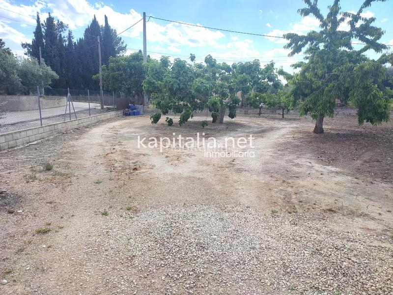 Foto f624428e-9c24-4f5e-bd71-ef66213e505a. Rural plot in El Llombo Ontinyent