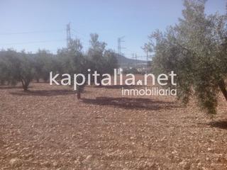 Propriété à Banyeres de Mariola. Terreno a la venta en termino de banyeres