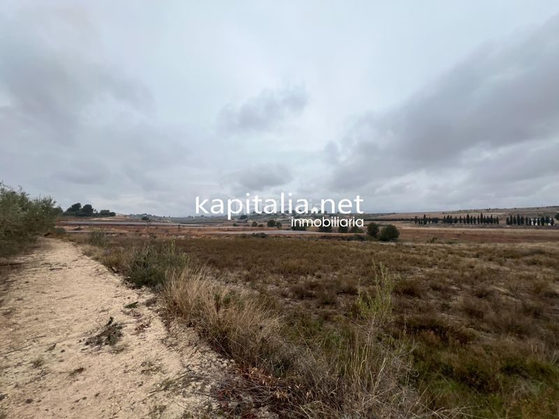 Foto 1b1decc9-05ef-4e44-a9a9-f2b558572e0d. Terreny residencial a Agullent
