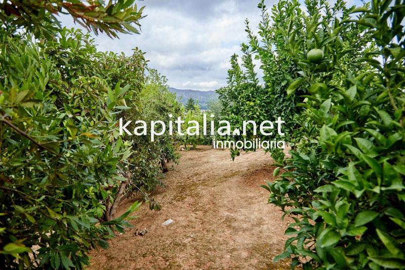 Foto dcccd431-28f5-4870-925e-20bb48c83c0b. Chalet exclusivo chalet a la venta en Sant Josep-Zona Hospital Ontinyent