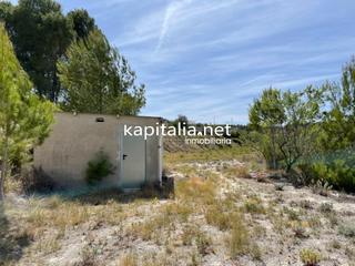 Finca rústica a Palomar. Terreno a la venta en zona el palomar.