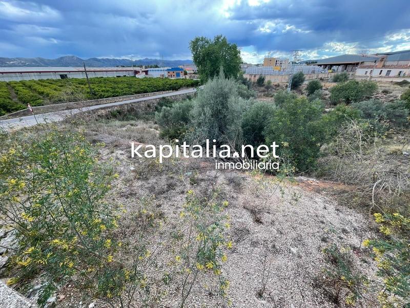 Foto f39cb215-3938-4f41-8b98-b2cd5e541125. Nave industrial  en l alcudia de crespins en Canals