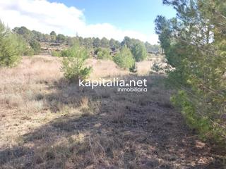 Finca rústica a Sant Josep-Zona Hospital. Terreno no urbanizable a la venta  en ontinyent, zona de todos l