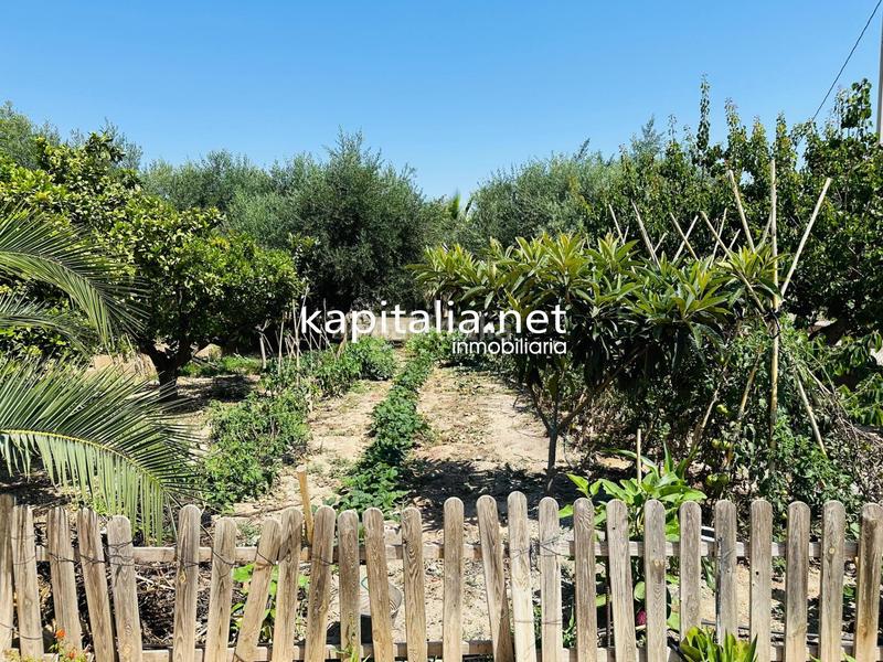 Foto 45016f8d-3a1d-48e2-b1ba-5a9c59684346. Chalet  en venta en Santa Ana Ontinyent