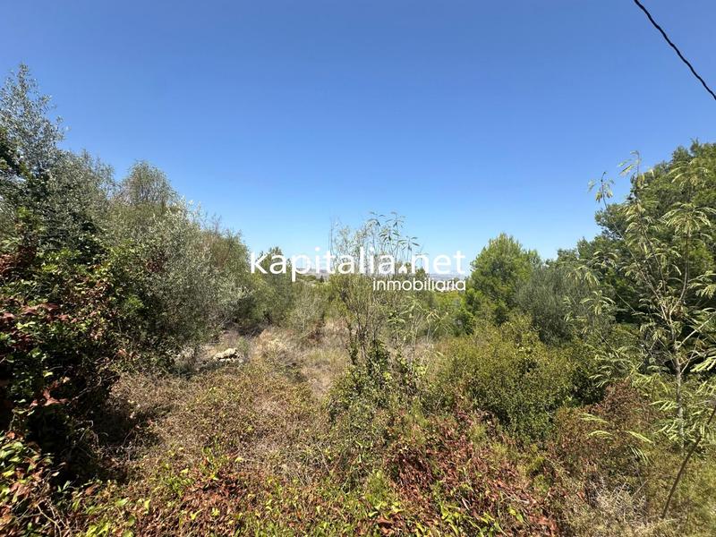 Foto ed7294fe-d5fb-4d57-97de-50bdd5a2f2d4. Terrain résidentiel dans Alberic