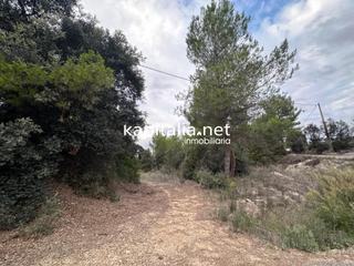 Terreny residencial a Alfafara. Parcela a la venta en alfafara