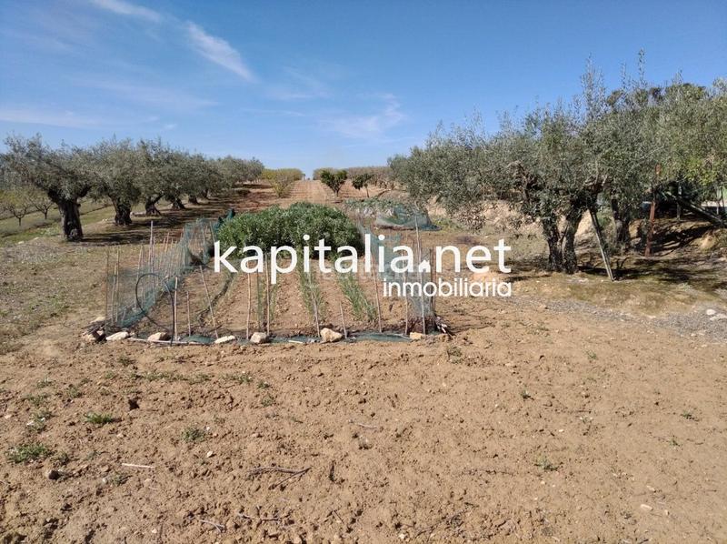 Foto ea1ba741-79d6-43d2-9cda-be2dfda0edc3. Casa a Agullent