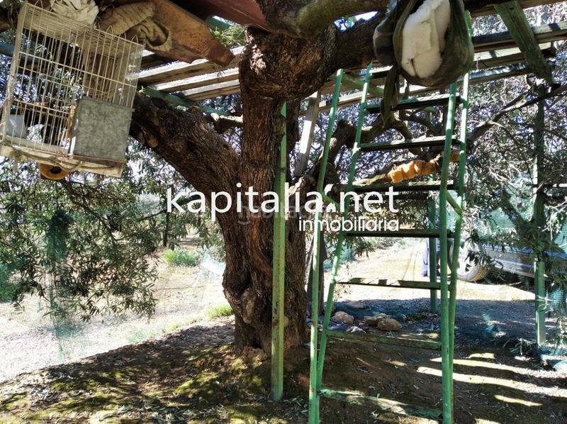 Foto ec8cf8d7-47b1-4960-a9e3-23451a8e459d. Casa a Agullent