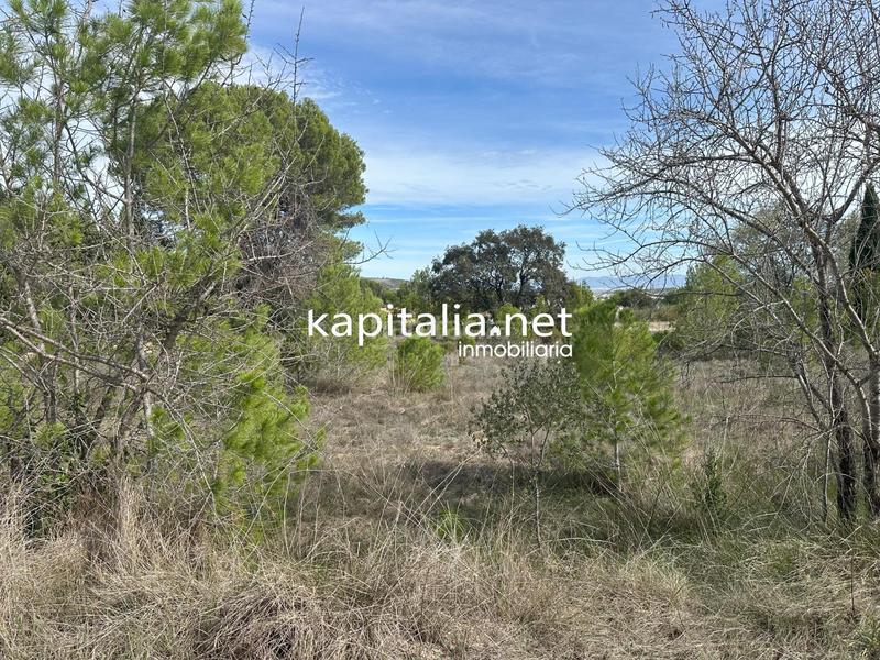 Foto 653d23f6-8522-495c-a563-b97c256025fb. Residential plot in Sant Josep-Zona Hospital Ontinyent