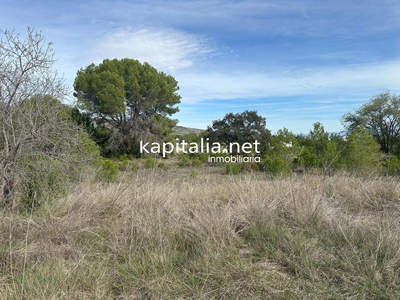 Foto dd549200-ff5e-49f2-b9a4-3a80004ecf54. Residential plot in Sant Josep-Zona Hospital Ontinyent