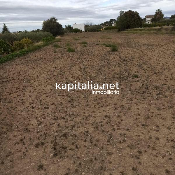 Foto 62d966ee-b563-4ad6-9f4e-f0b2f3026204. Fondo rustico in Sant Josep-Zona Hospital Ontinyent