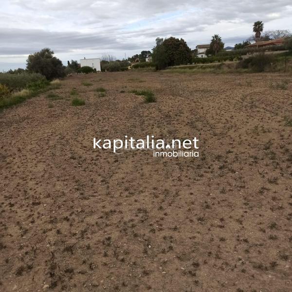 Foto c6f3de02-72f6-483e-8d6e-34f11597b98f. Fondo rustico in Sant Josep-Zona Hospital Ontinyent