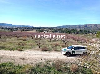 Terreny residencial a Agullent. Parcelas a la venta en los terminos de ontinyent y agullent, zon