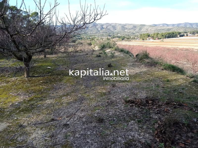 Foto 1b4bf3ae-7c20-415f-aa72-a4fb5415705e. Residential plot in Agullent