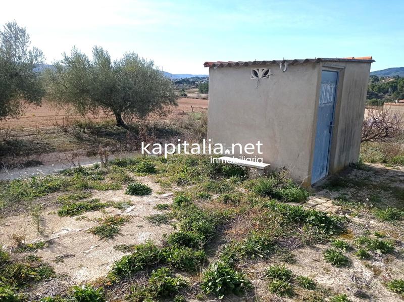 Foto 6967541b-efba-46ef-adc5-06cfcce65a03. Residential plot in Agullent