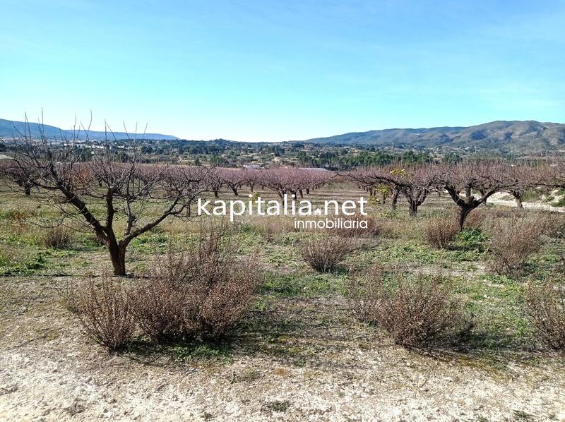 Foto 8b238b54-bf38-4c53-97a2-ce689263e210. Residential plot in Agullent