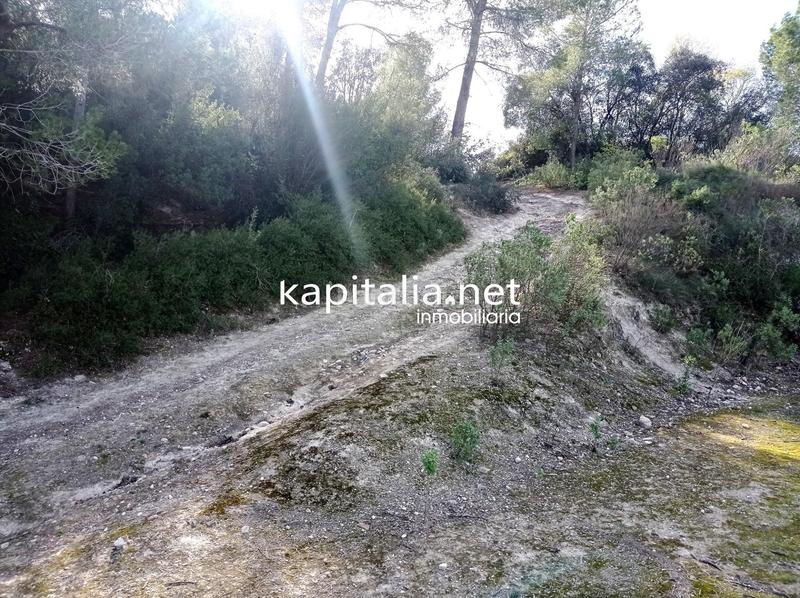 Foto f054f8eb-6341-4fa9-b287-b254801feffa. Residential plot in Agullent