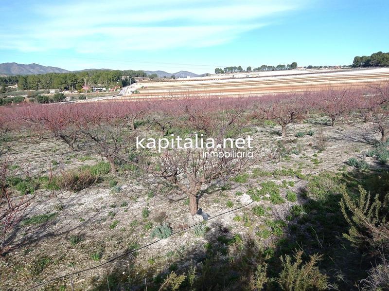 Foto fa1dba8e-da7e-40f6-9a84-1f54dcb773d4. Residential plot in Agullent