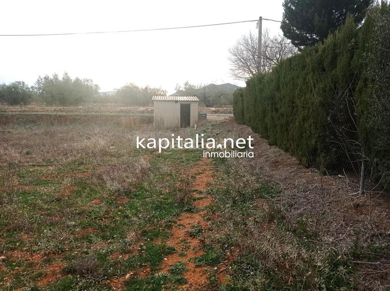 Foto 05d4b970-ef47-4679-b82a-ec8ac610e520. Landgut in Aielo de Malferit