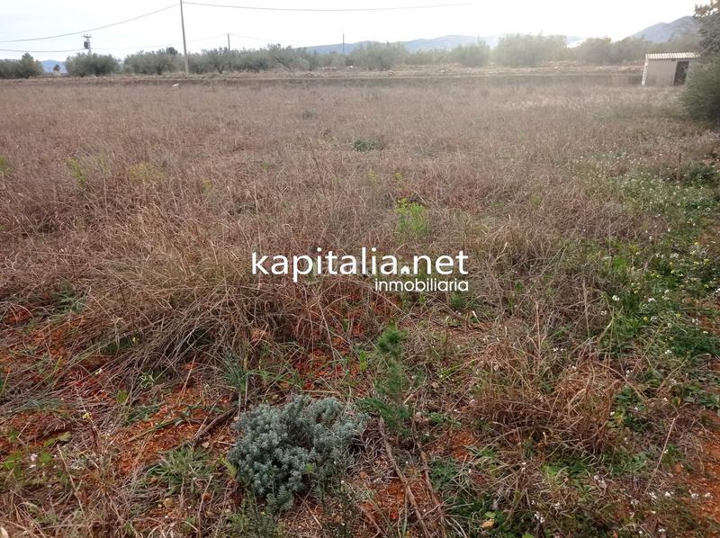 Foto 15785b44-4a1b-472a-a979-88d93048ac19. Landgut in Aielo de Malferit