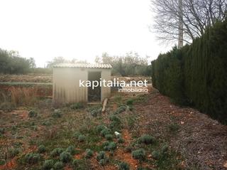 Finca rústica a Aielo de Malferit. Terreno a la venta en aielo de malferit con casita de aperos