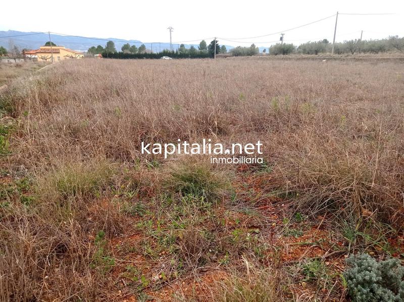 Foto 3e97ebe2-e064-462f-b34d-f6a1a215bd74. Landgut in Aielo de Malferit