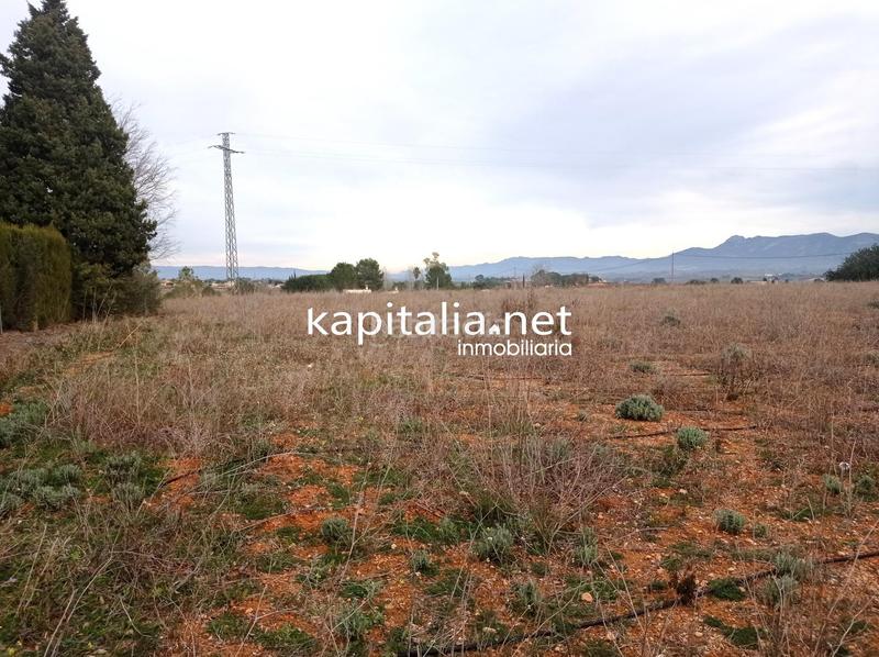 Foto bca66e0a-c3b9-4e68-beff-cd9e480ea1f6. Landgut in Aielo de Malferit