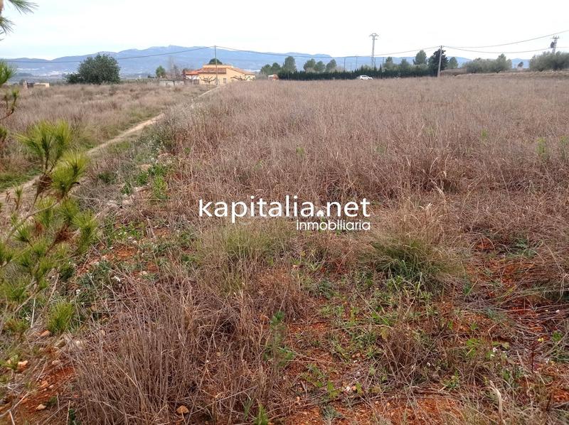 Foto c41d97a3-78fb-4f72-aad0-6d993465c0e8. Landgut in Aielo de Malferit