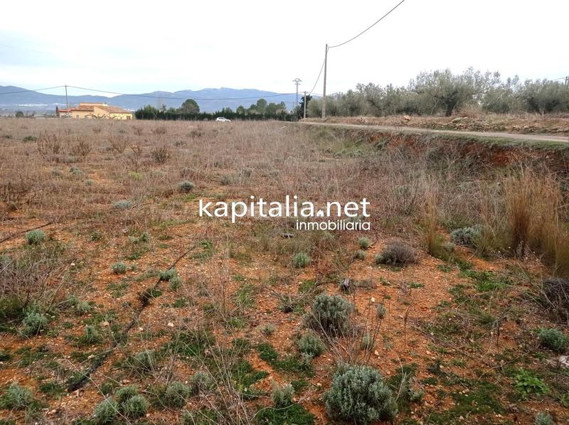 Foto cd911a50-e3b8-4144-bb78-6a75731a107d. Landgut in Aielo de Malferit