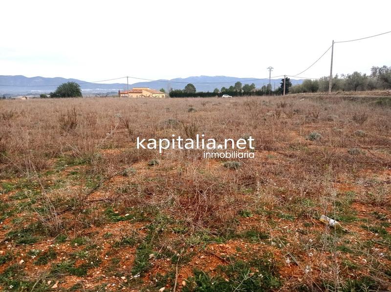 Foto d78d0e55-7b24-43f0-9798-e90d667cd479. Landgut in Aielo de Malferit