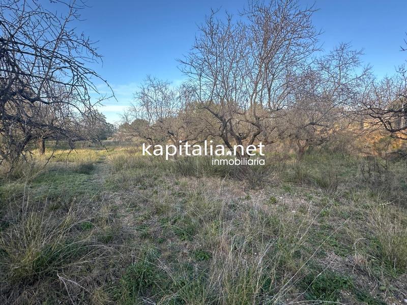 Foto 00afbd4b-ad84-4136-9af0-5f6ee86c50e9. Residential plot in Sant Josep-Zona Hospital Ontinyent