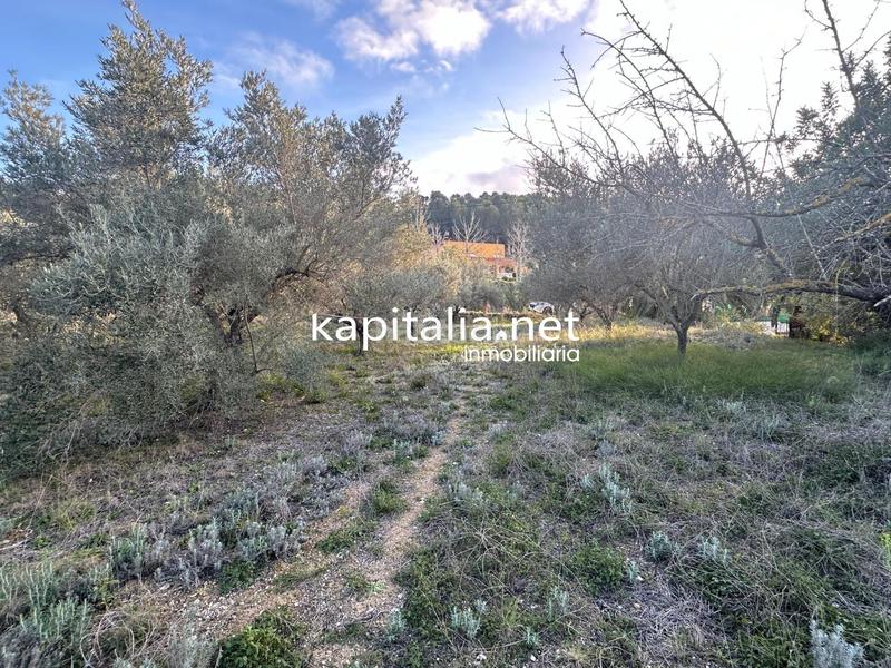 Foto 08c51efa-d6eb-44d1-bfe8-7eeac756f407. Residential plot in Sant Josep-Zona Hospital Ontinyent