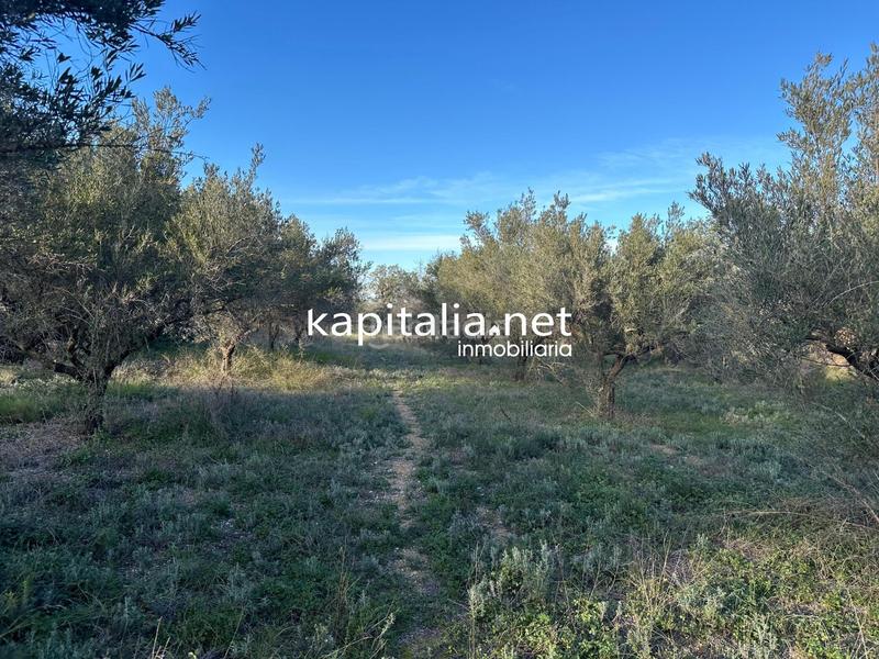 Foto 3b147b42-c46f-443d-8783-cebd59db126a. Residential plot in Sant Josep-Zona Hospital Ontinyent