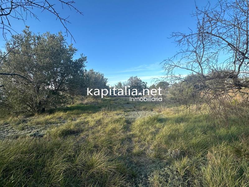 Foto 40d7ad2f-67c6-4a52-a549-cf6d2b768c46. Residential plot in Sant Josep-Zona Hospital Ontinyent