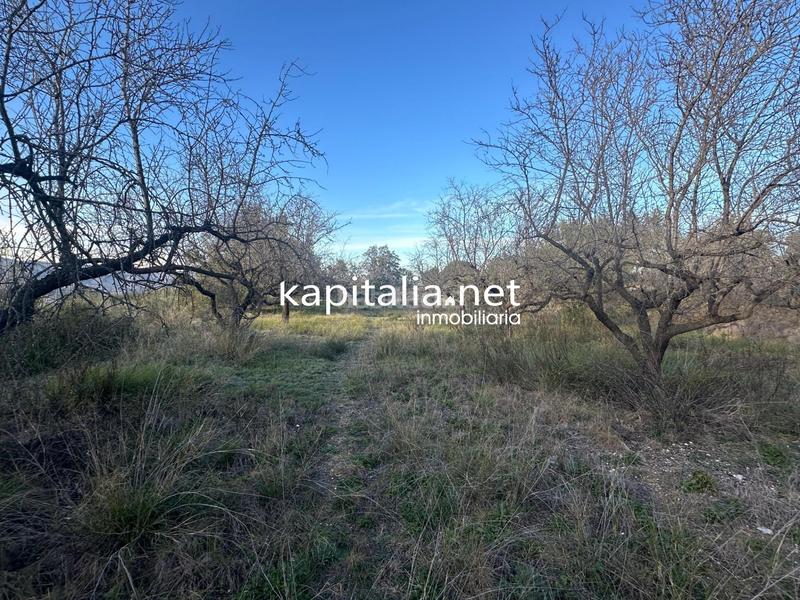 Foto 411159af-3073-40c4-a906-675b7f5cbf64. Residential plot in Sant Josep-Zona Hospital Ontinyent