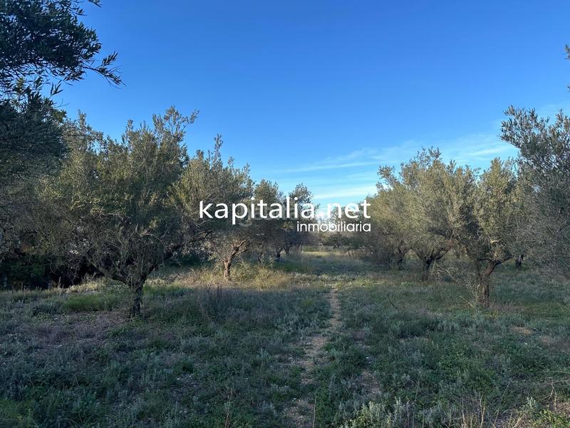 Foto 698e45c4-72d0-47e1-b3b4-f617b5d4d092. Residential plot in Sant Josep-Zona Hospital Ontinyent