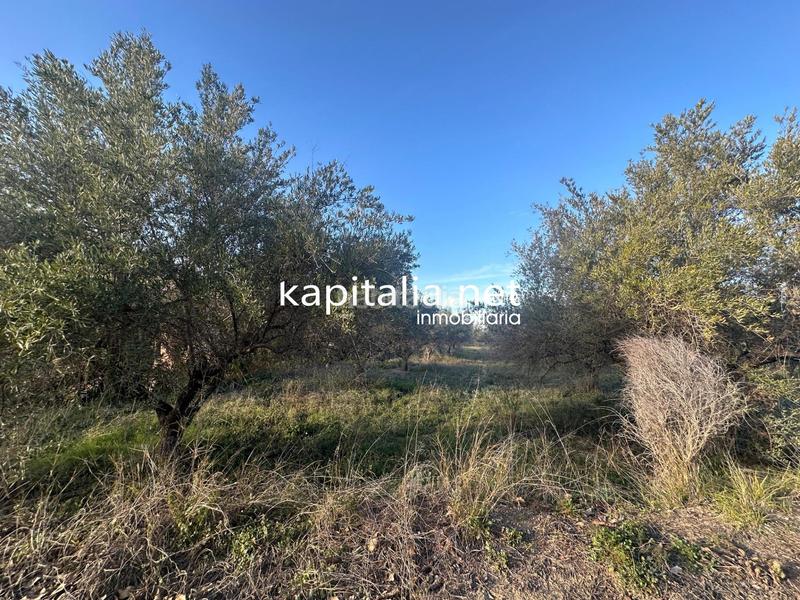 Foto a1b3f452-7da6-4e4a-9409-4e53225b4360. Residential plot in Sant Josep-Zona Hospital Ontinyent