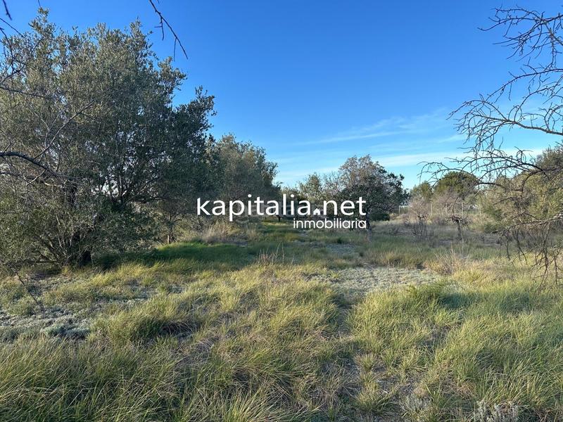 Foto aa17e5db-561e-44ac-9b74-1bbd0f9ace09. Residential plot in Sant Josep-Zona Hospital Ontinyent