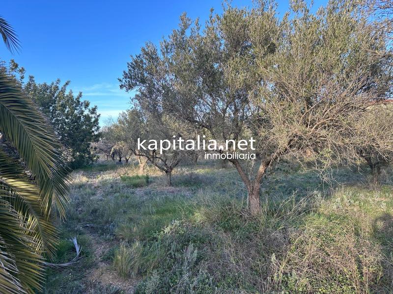 Foto ef5f147f-edf5-4af2-adc5-df4e42e1b6d8. Residential plot in Sant Josep-Zona Hospital Ontinyent