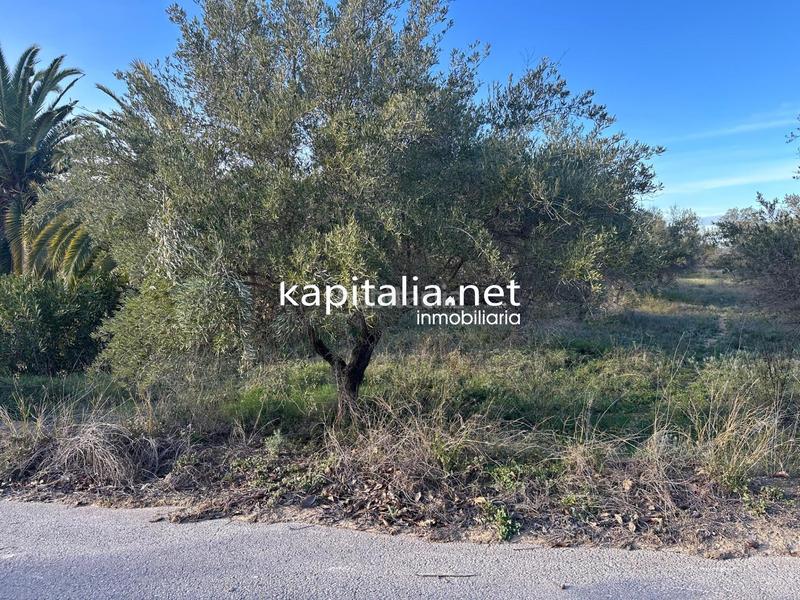 Foto f8a6c907-9a1a-4d10-8834-25cfbc429007. Residential plot in Sant Josep-Zona Hospital Ontinyent