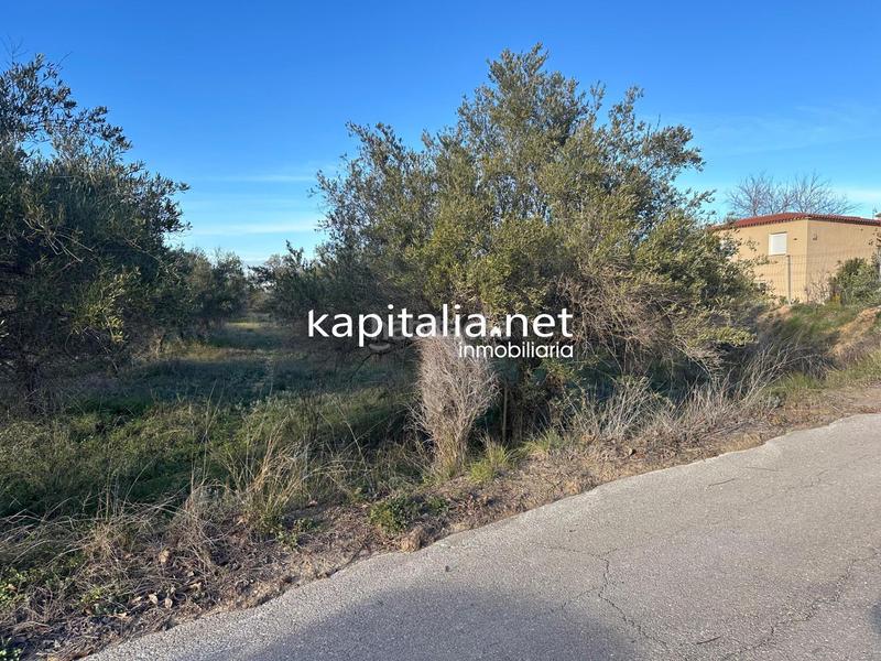 Foto fca60665-2be5-46c8-96ff-e4dbfe10138f. Residential plot in Sant Josep-Zona Hospital Ontinyent