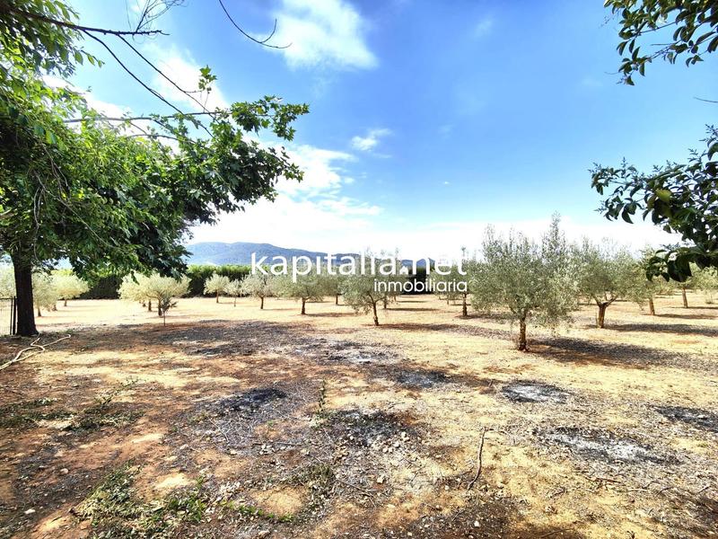 Foto 05fe716b-3bce-4180-8391-9ea17b63ace2. Chalet avec parking piscine dans Banyeres de Mariola