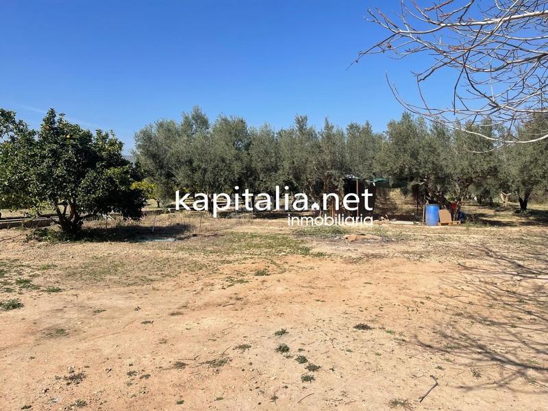 Foto 35011b2d-a29a-4aff-aa98-35bf8dd5d49d. Finca rústica terreno en Vallada