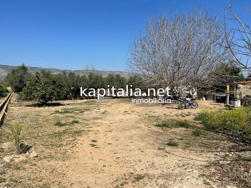 Foto 73a0e52b-c063-40c2-9c4c-b1d8bea1bc20. Finca rústica terreno en Vallada