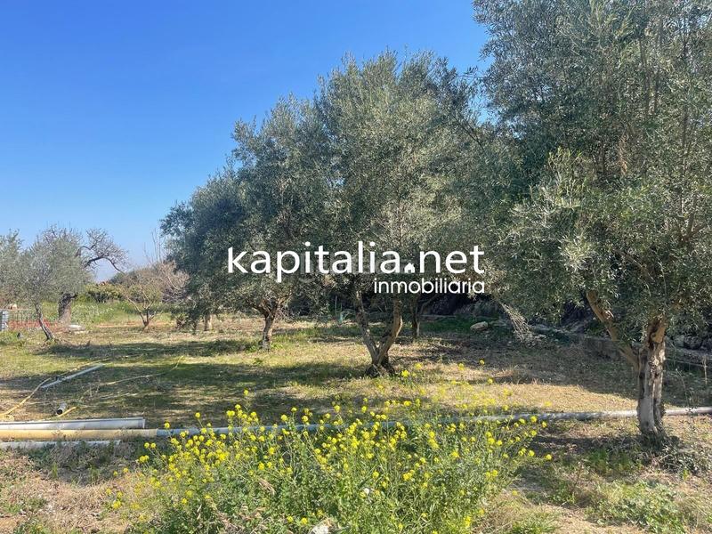 Foto 8d10e182-b680-49e6-b89b-c310bb555c39. Finca rústica terreno en Vallada