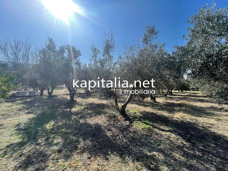 Foto ab6df8b3-5906-4cef-b9fd-711731c20392. Finca rústica terreno en Vallada