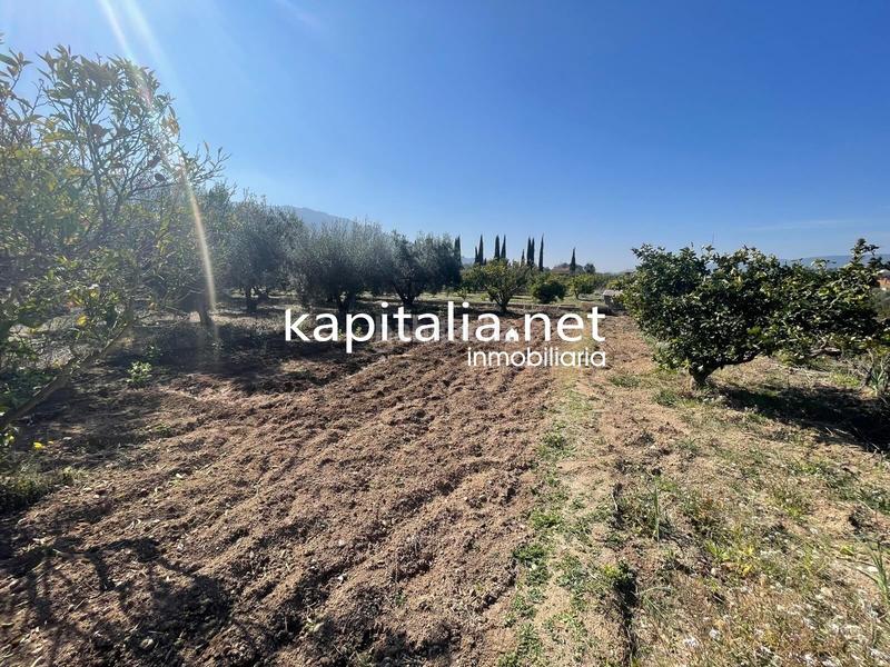 Foto bc260c1c-d407-4f6a-ab74-154ebada5bb8. Finca rústica terreno en Vallada